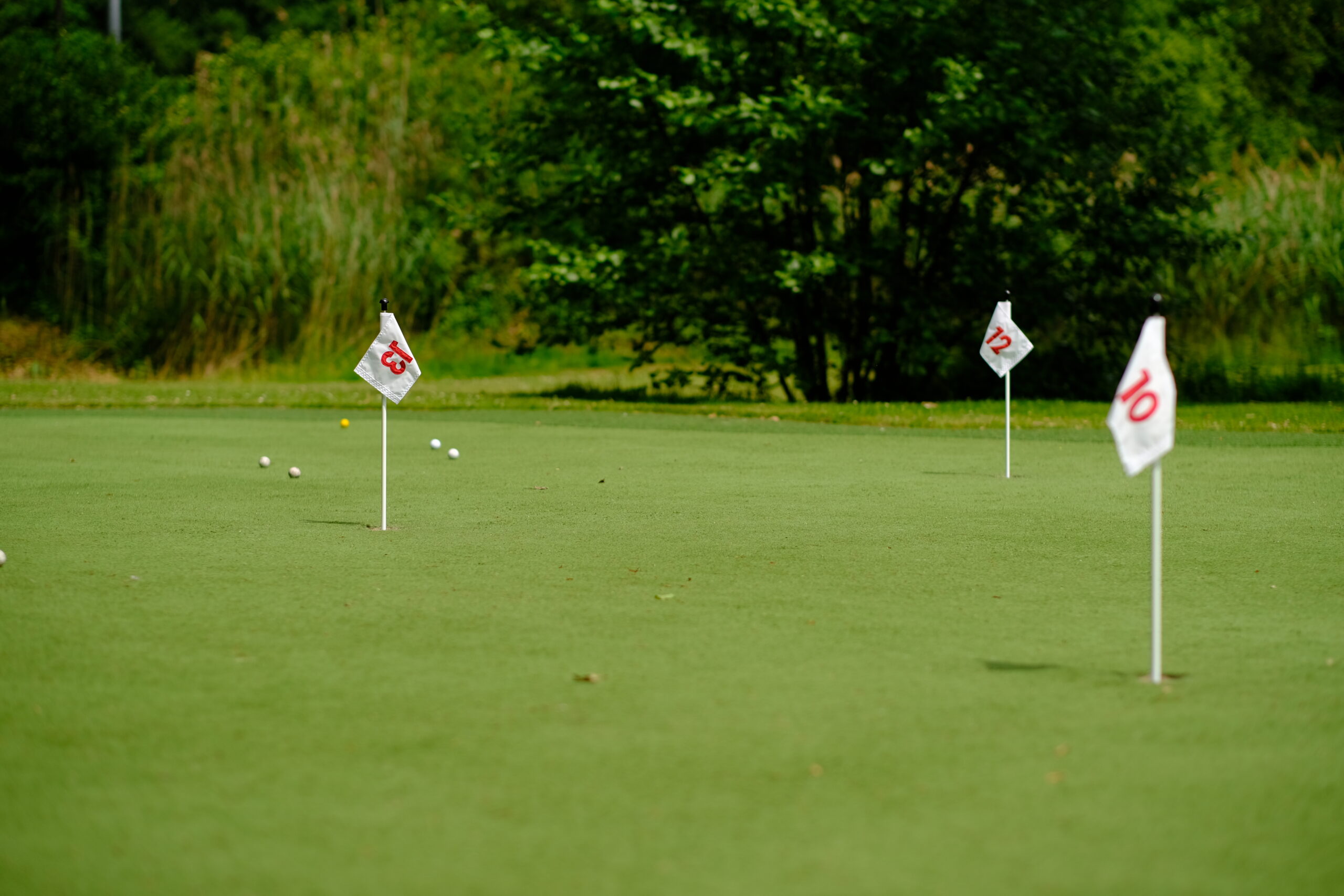 Short Golf Hof van Twente 2