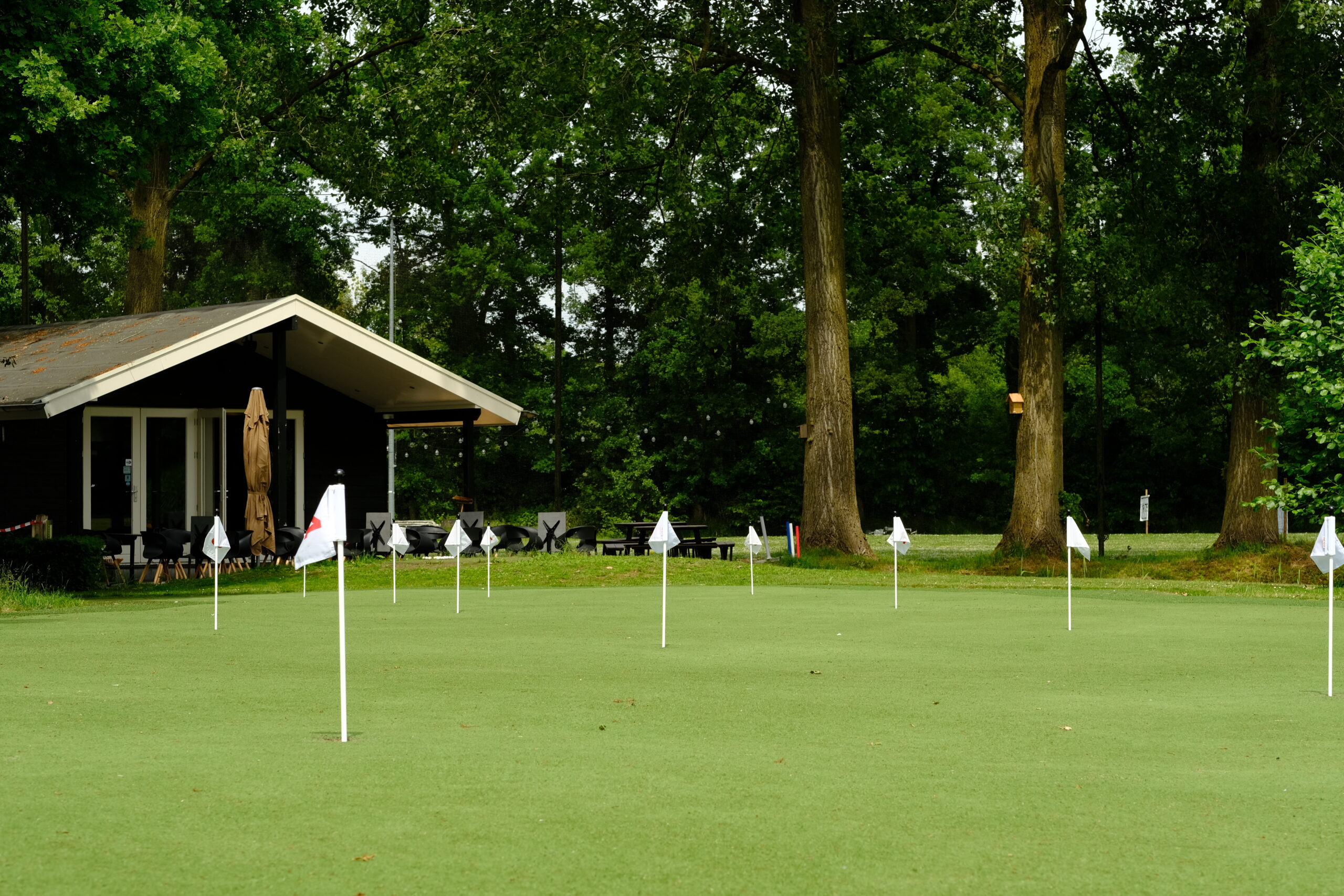 Short Golf Hof van Twente Impressie