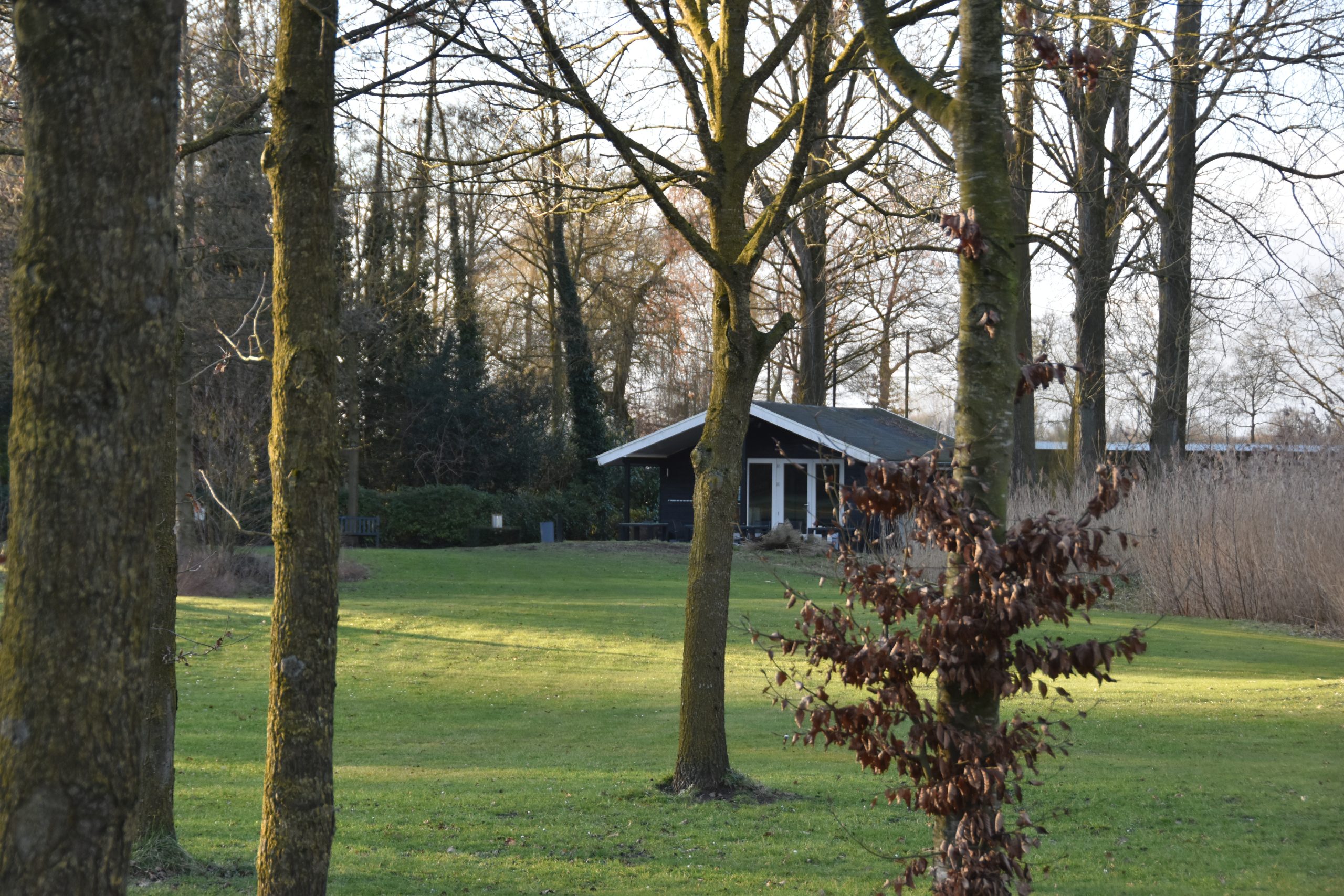 Short Golf Impressie 4